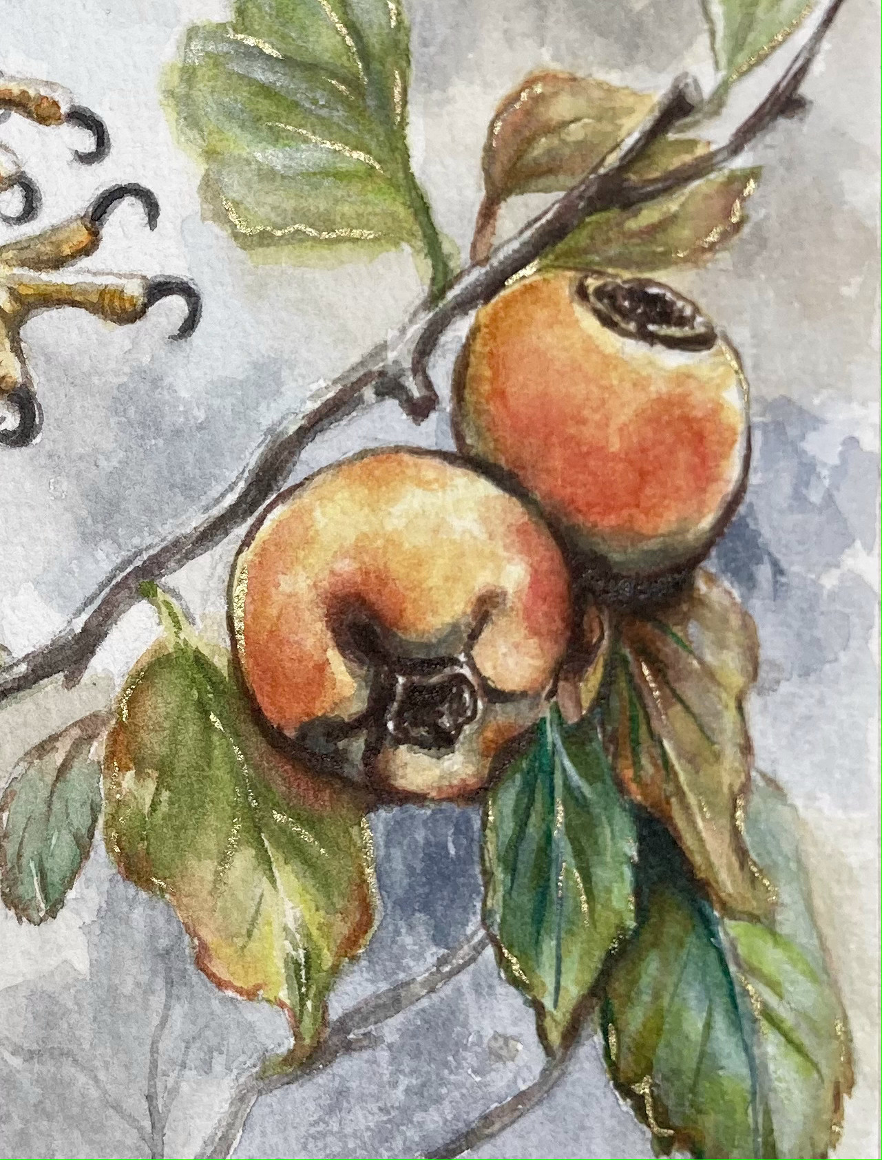 Watercolour Painting on Paper of Hawk in an Orchid