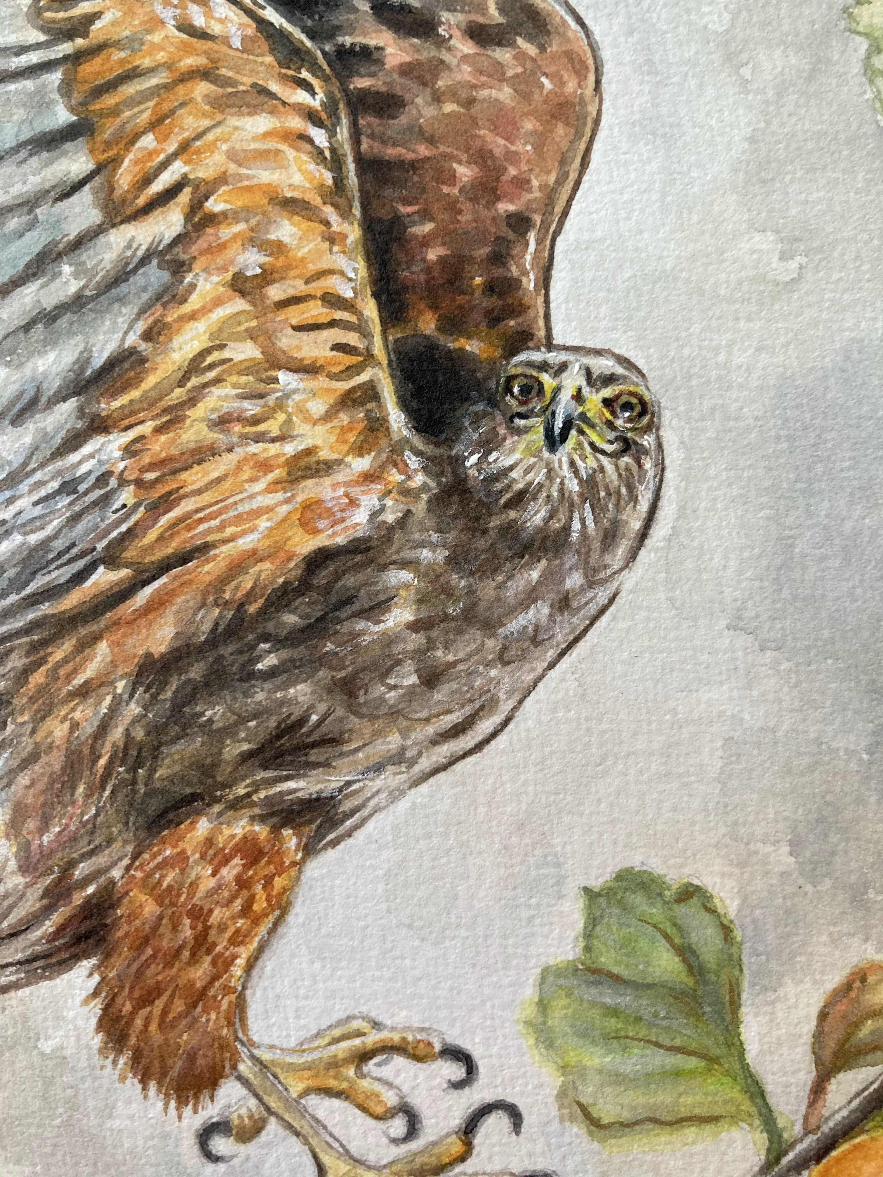 Watercolour Painting on Paper of Hawk in an Orchid