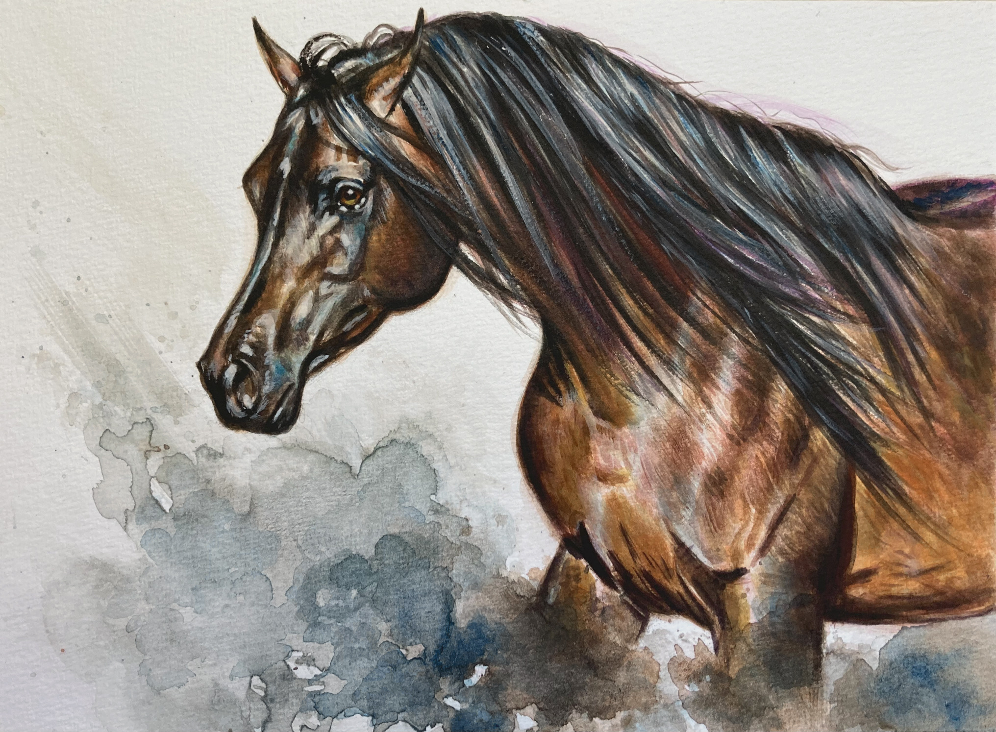Watercolour Painting on Paper of Bay Arabian Stallion