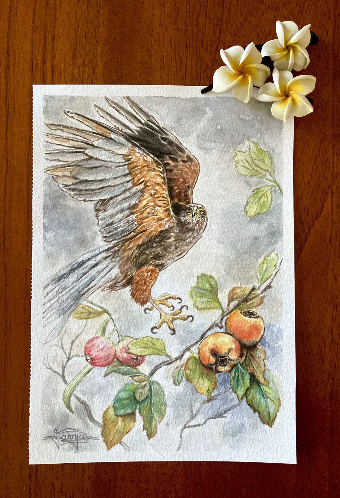 Watercolour Painting on Paper of Hawk in an Orchid