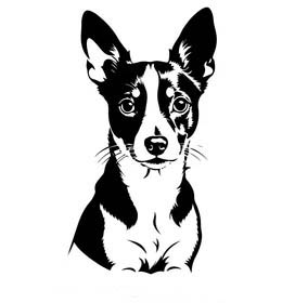 I love my Rat Terrier