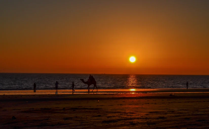 Rann of Kutch with Exclusive Dholavira (Delhi to Delhi)