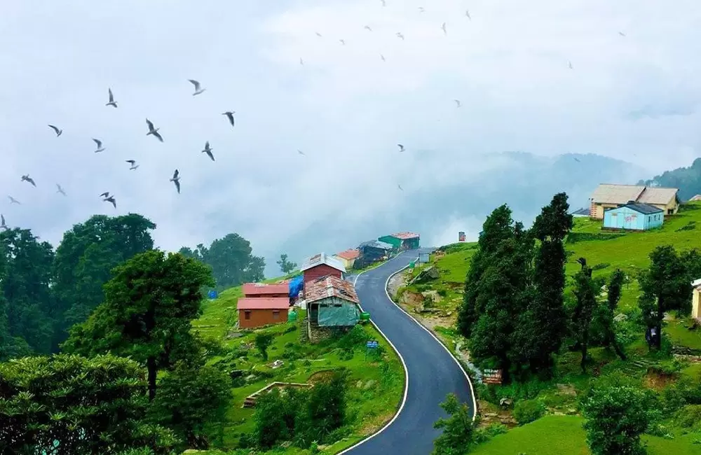Long Weekend Chopta - Tungnath - Deoria Tal Trip