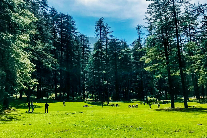 Chakrata: Complete Travel Guide