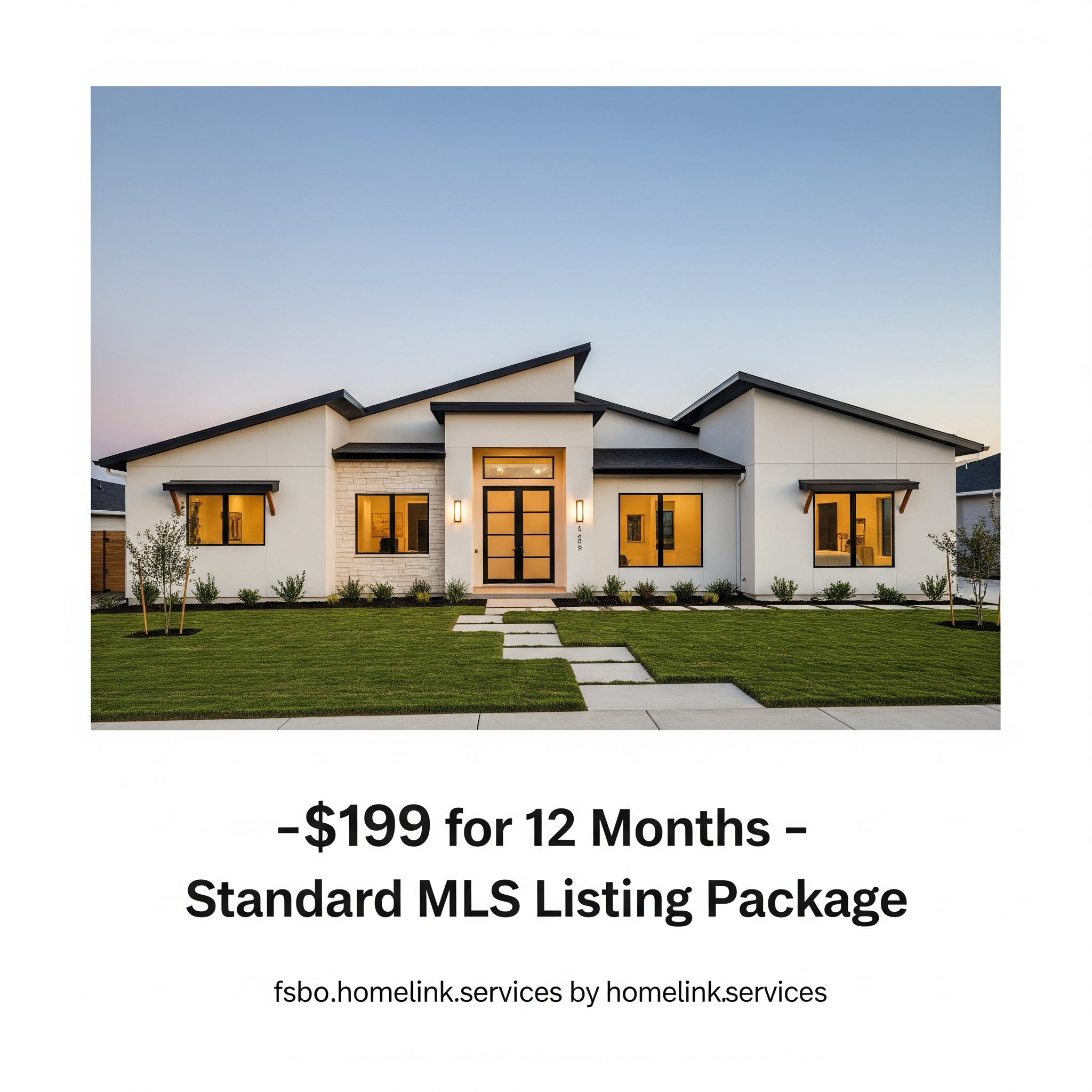 🔵 $199 for 12 Months – Standard MLS Listing Package