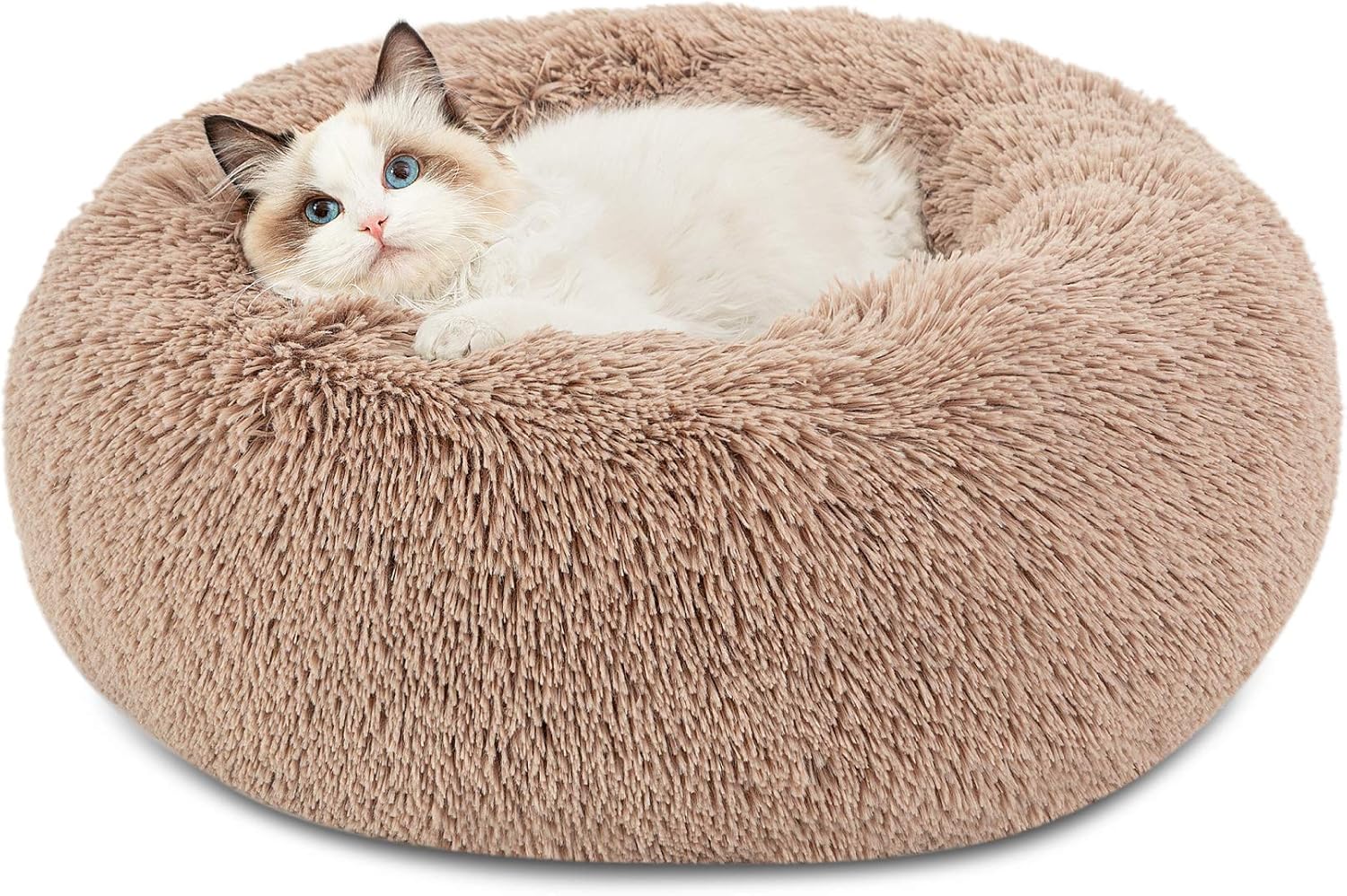 Calming Cat Beds for Indoor Cats - Small Cat Bed Washable 20 inches