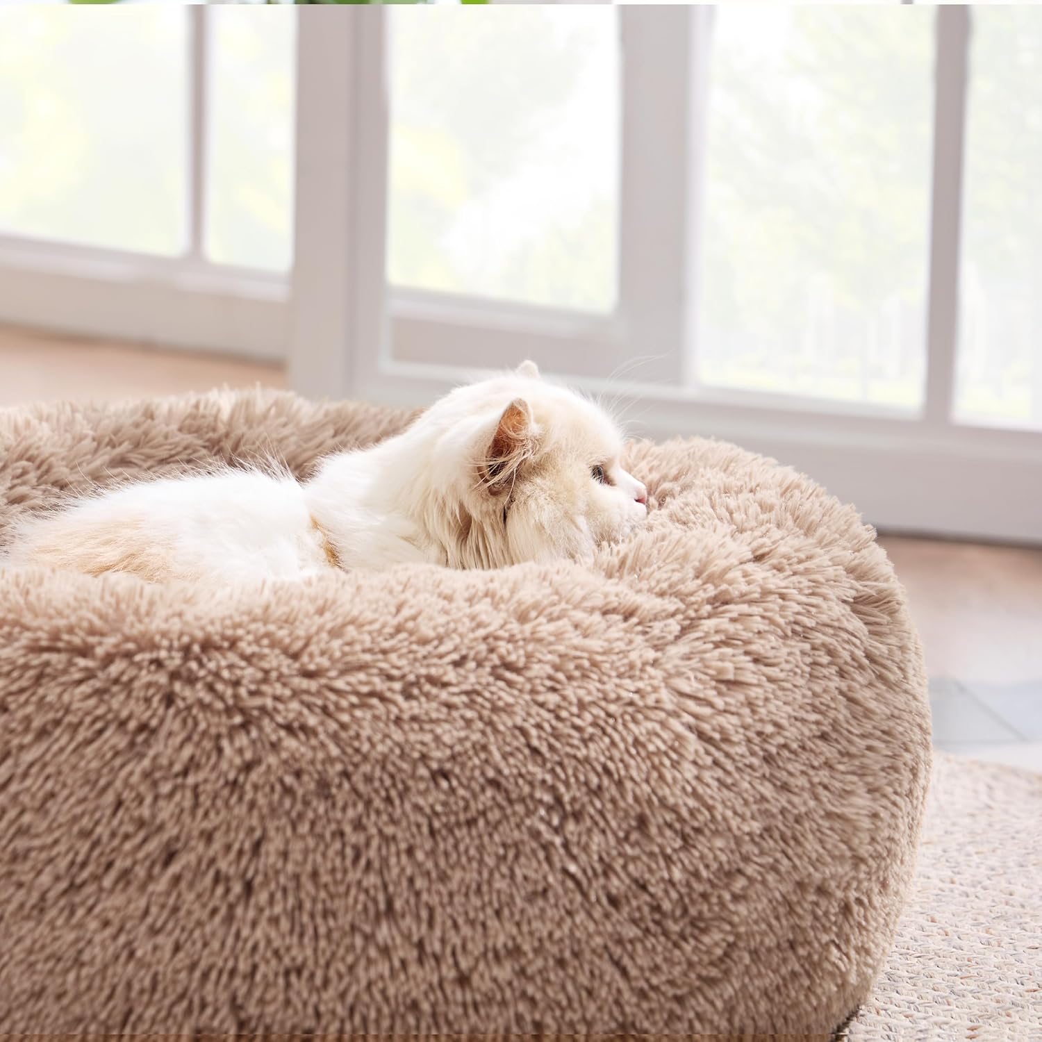 Calming Cat Beds for Indoor Cats - Small Cat Bed Washable 20 inches