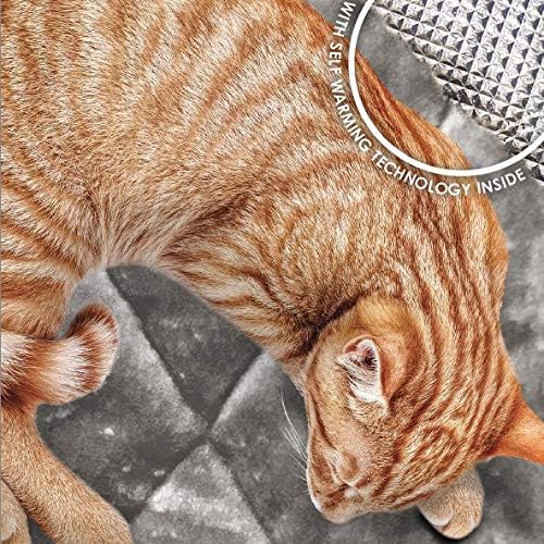 ThermaNAP Self-Warming Cat Bed for Indoor Cats & Small Dogs