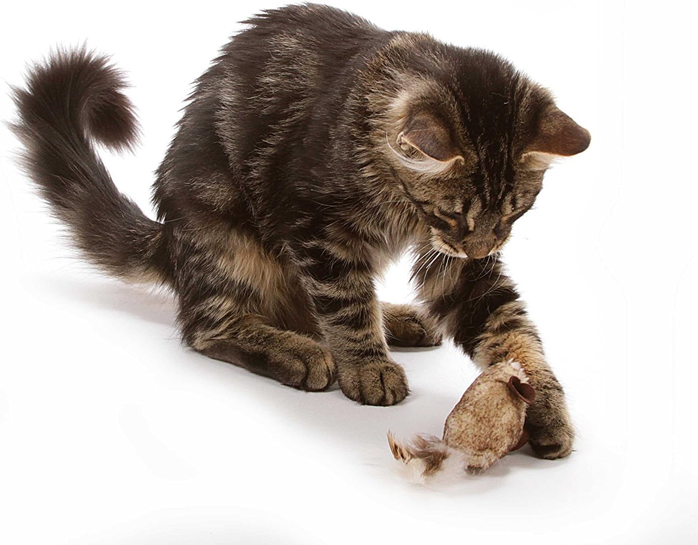 Play-N-Squeak Twice the Mice Cat Toy, 2pc