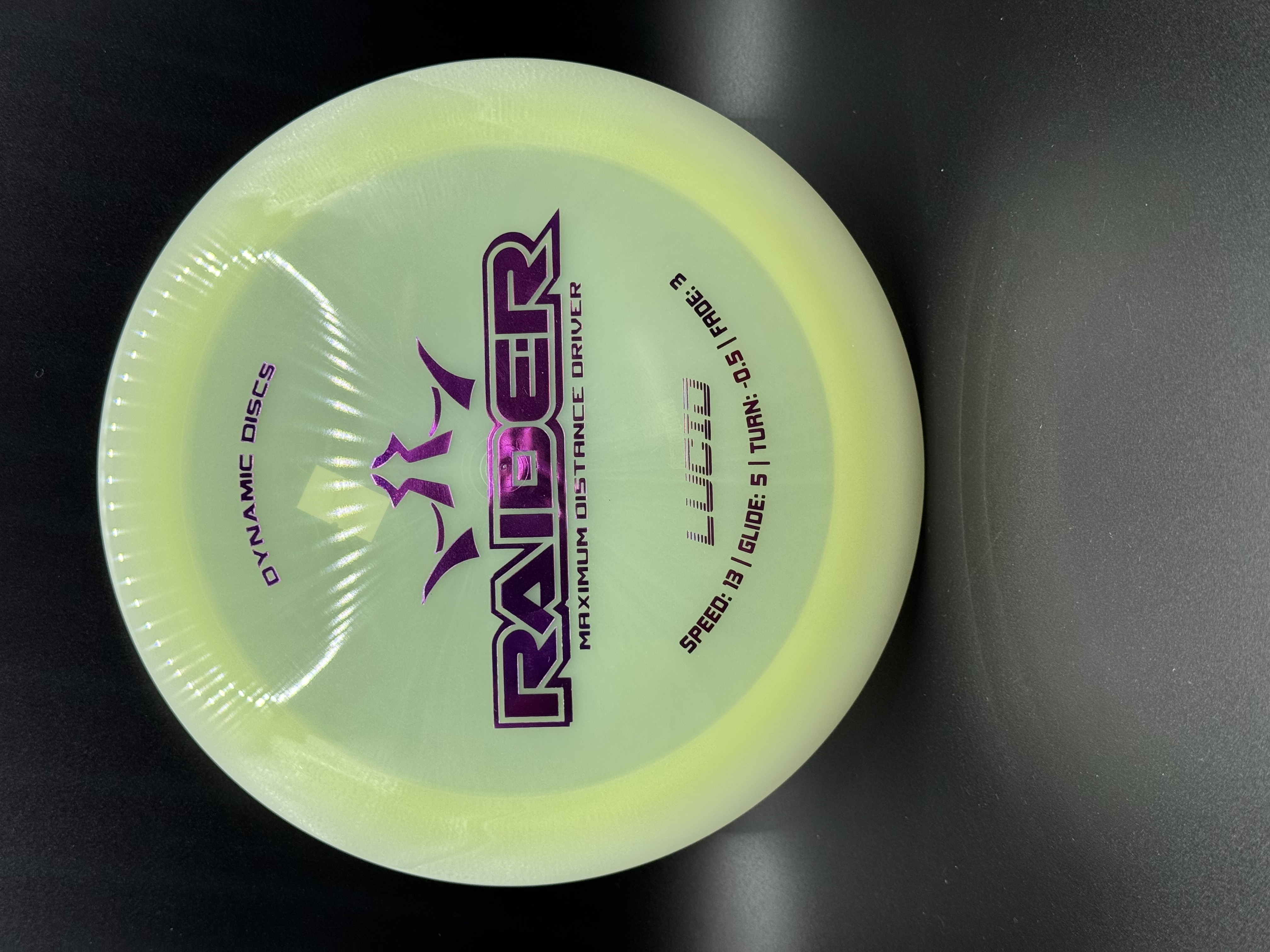 Dynamic Discs Raider