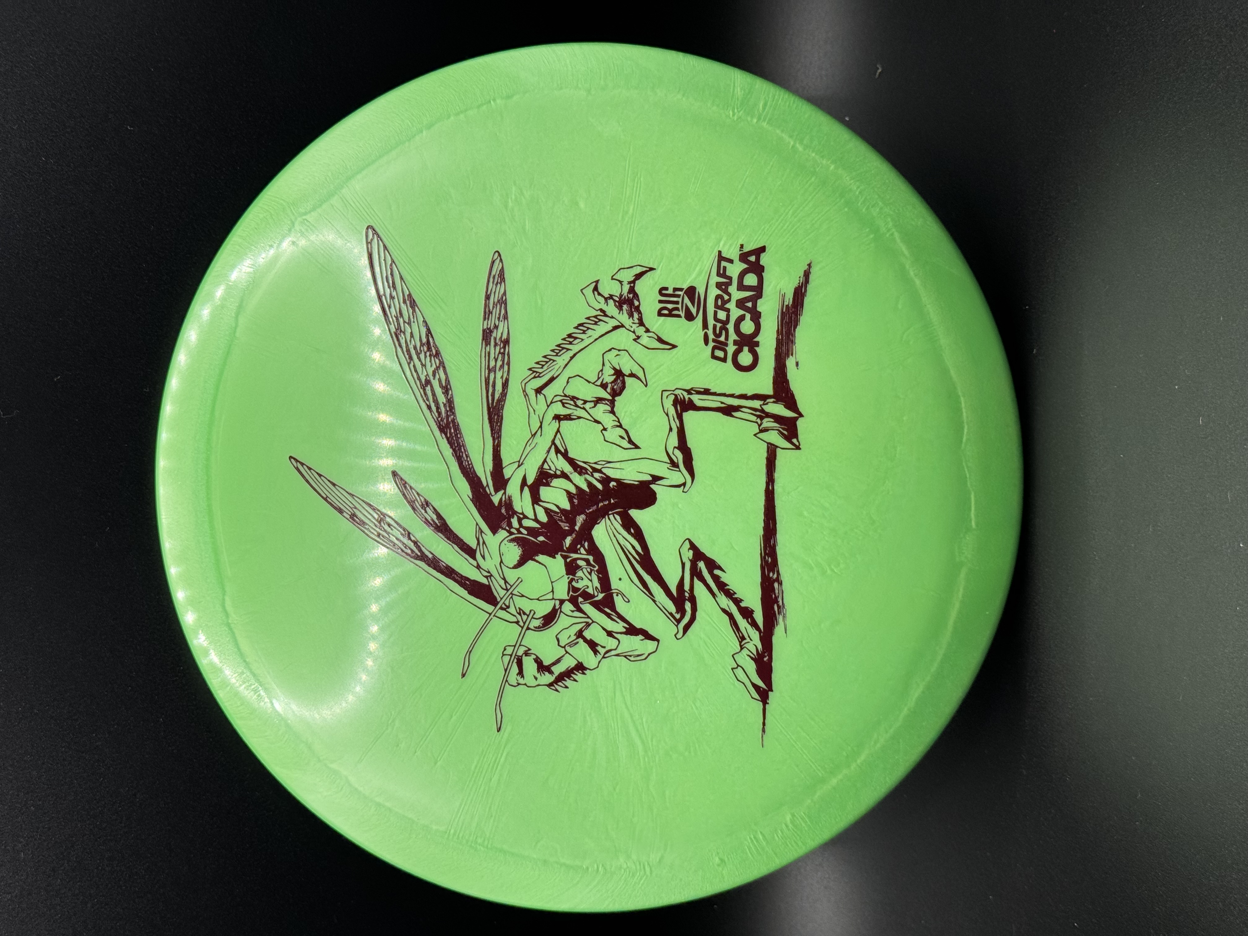 Discraft Cicada