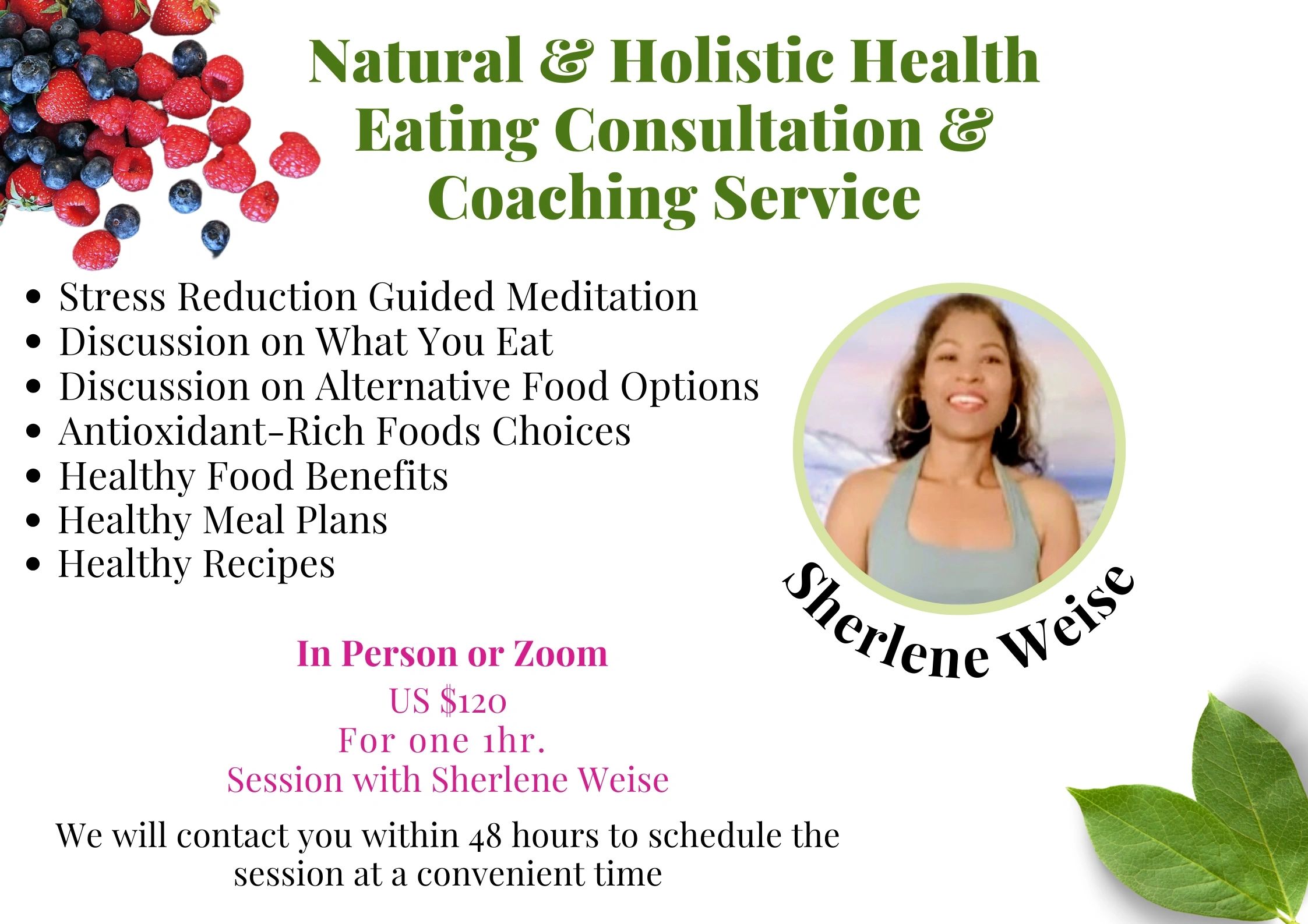 Consultation & Coaching Service Option 1
