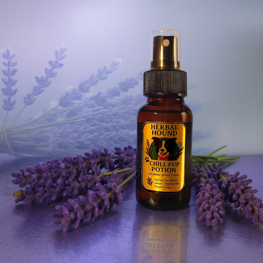 Chill Pup Potion 40ml