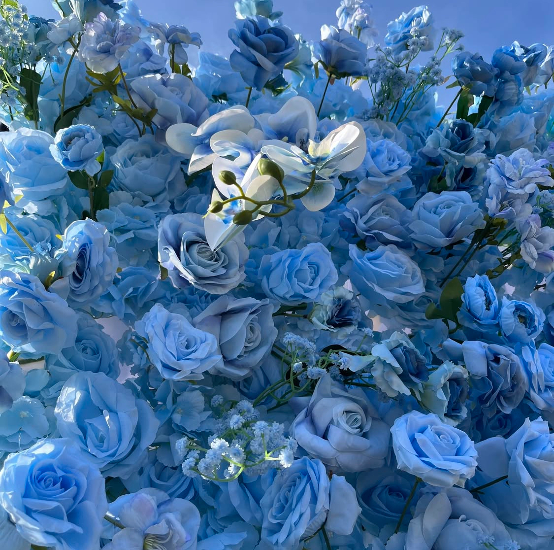 Sapphire