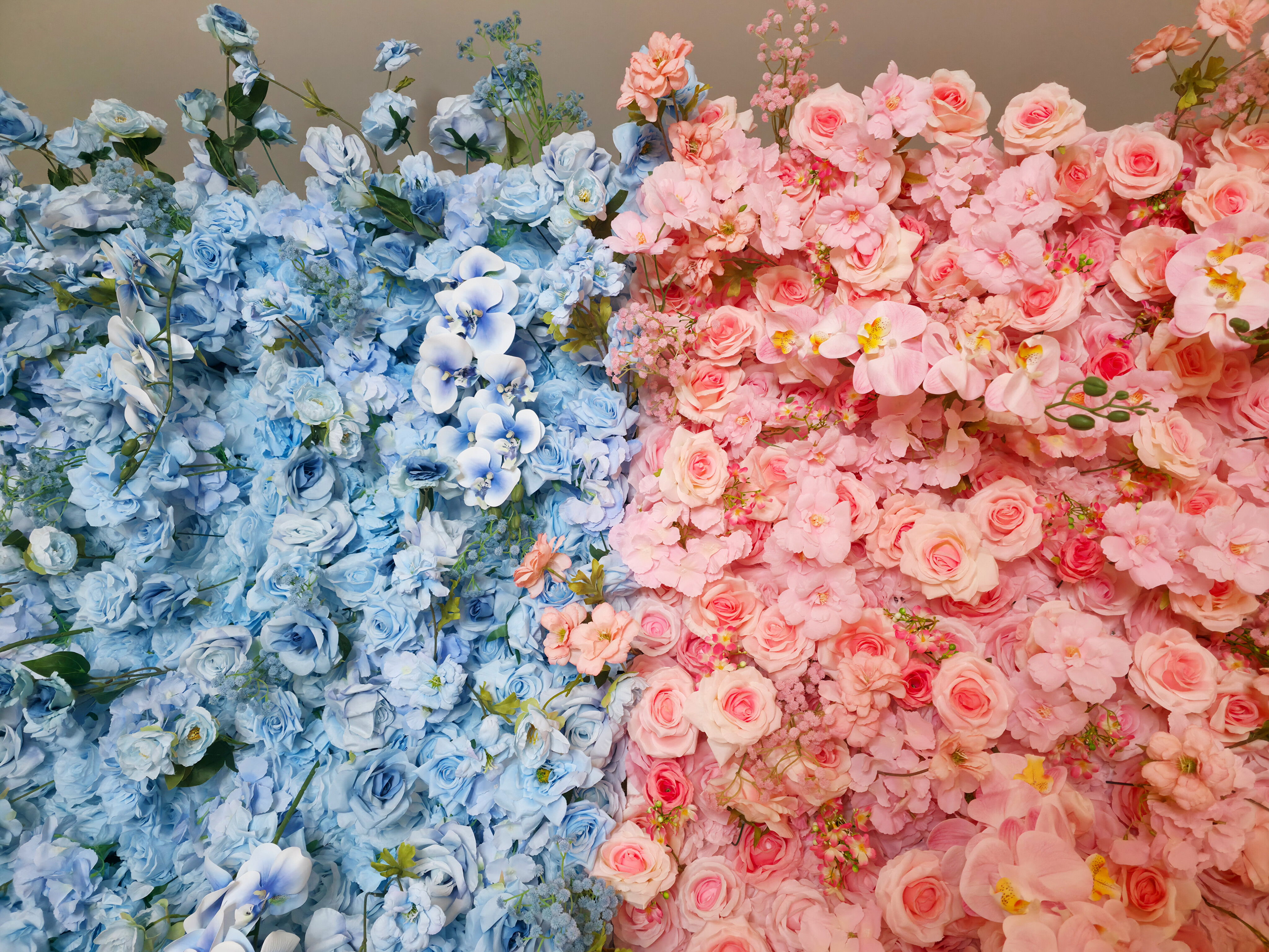 Cotton Candy