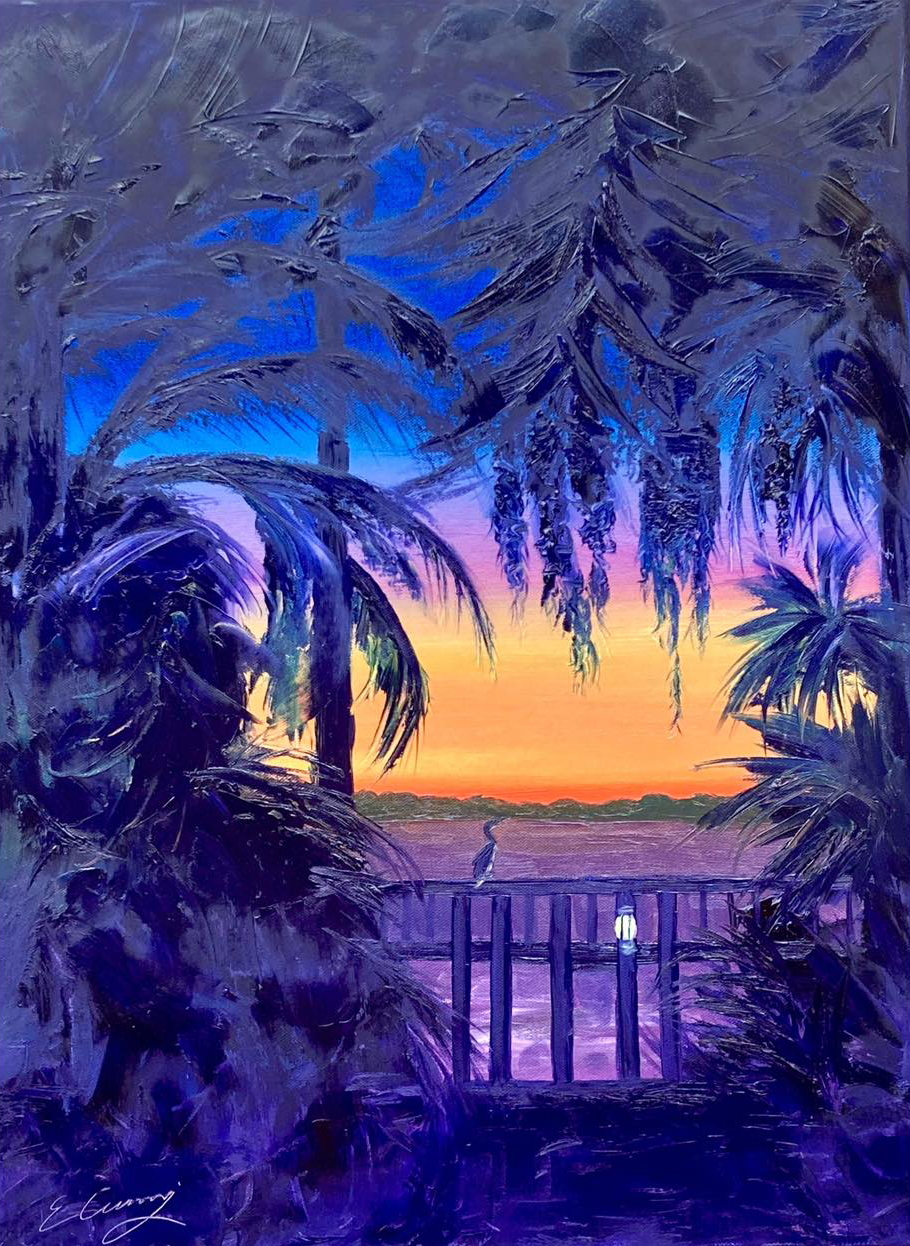 Royal Cormorant Sunset