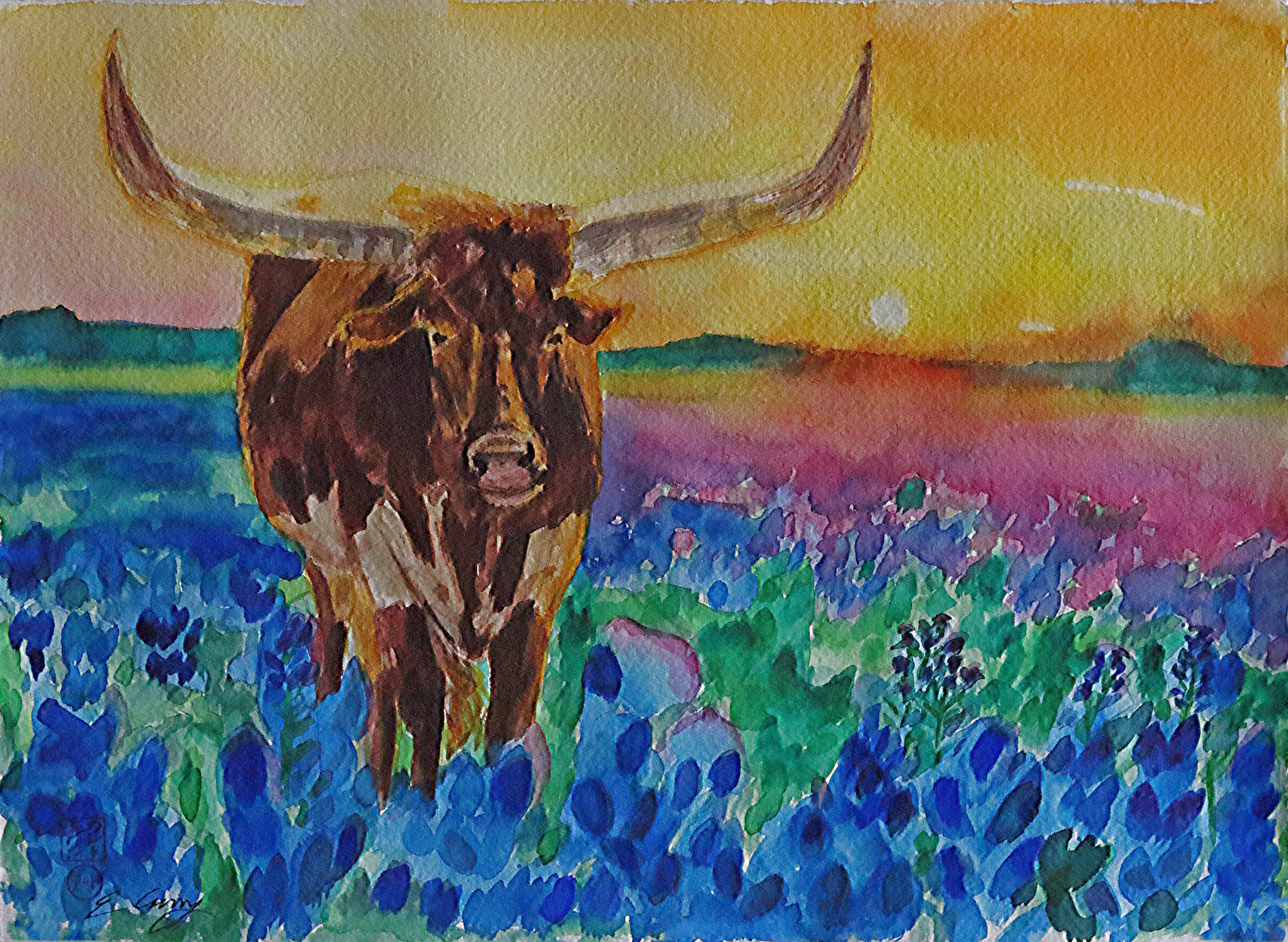 Sunrise Longhorn Bluebonnets 