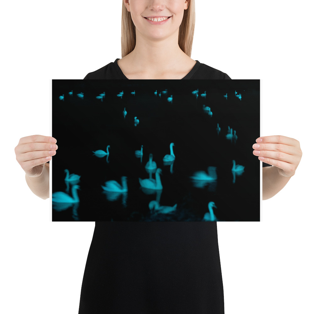 The Phantom of the Swans