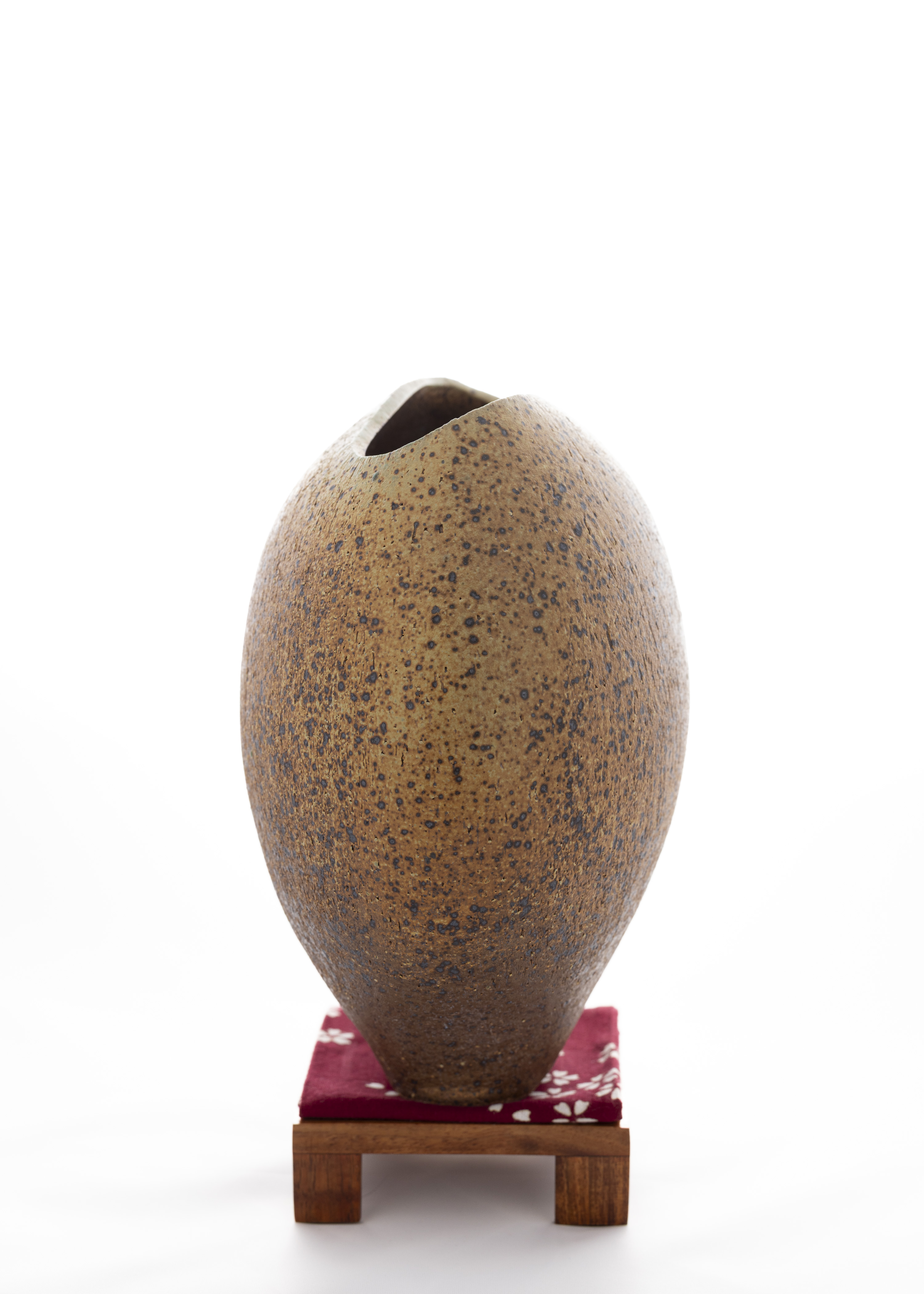 Assymetric Flattened Rustic Vase