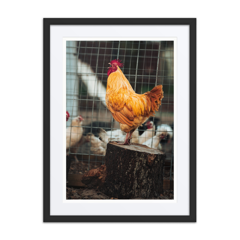 Dawn’s OG Influencer