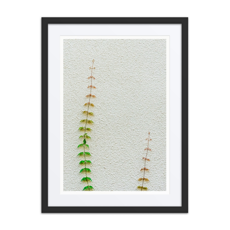 Poetry in Slow Motion 01