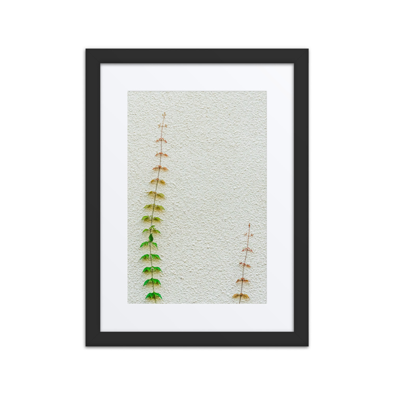 Poetry in Slow Motion 01