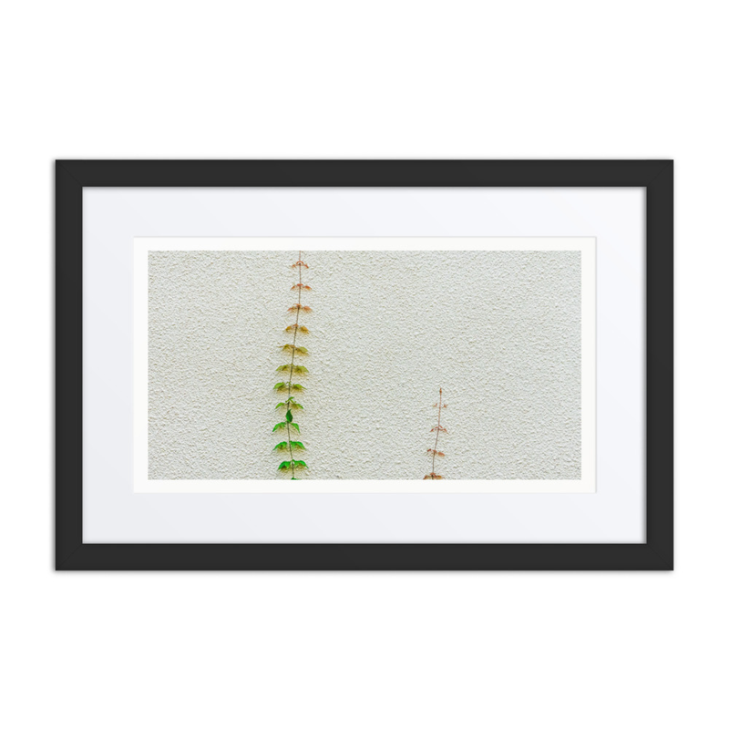 Poetry in Slow Motion 02