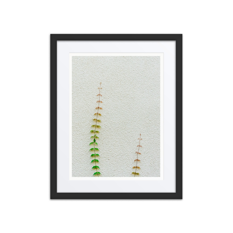 Poetry in Slow Motion 01