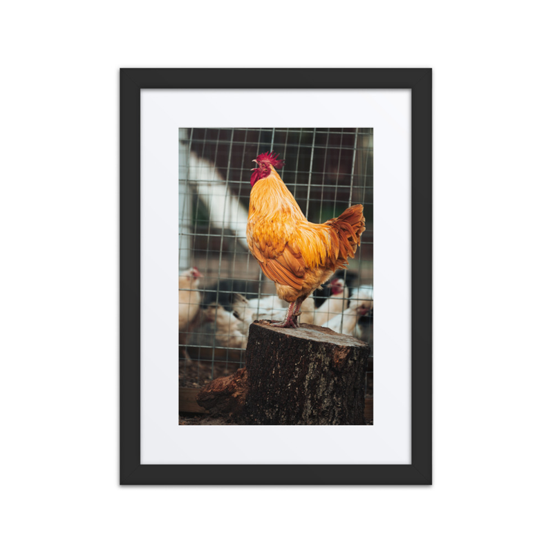 Dawn’s OG Influencer