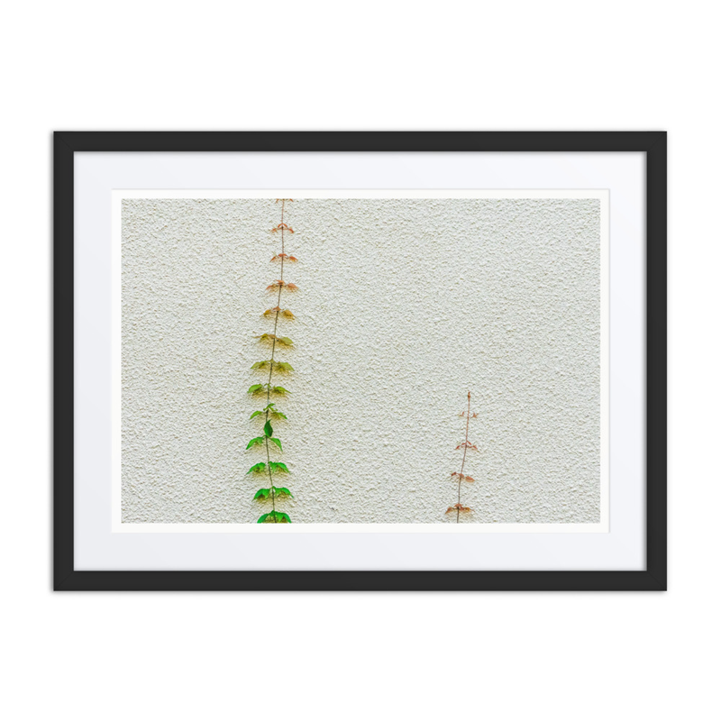 Poetry in Slow Motion 02