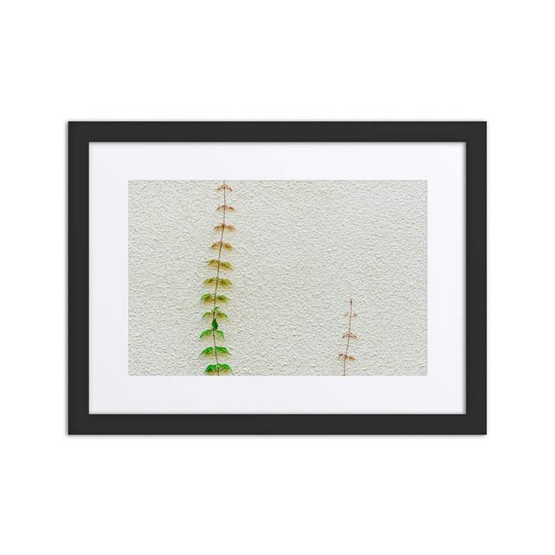 Poetry in Slow Motion 02