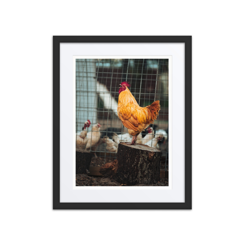 Dawn’s OG Influencer