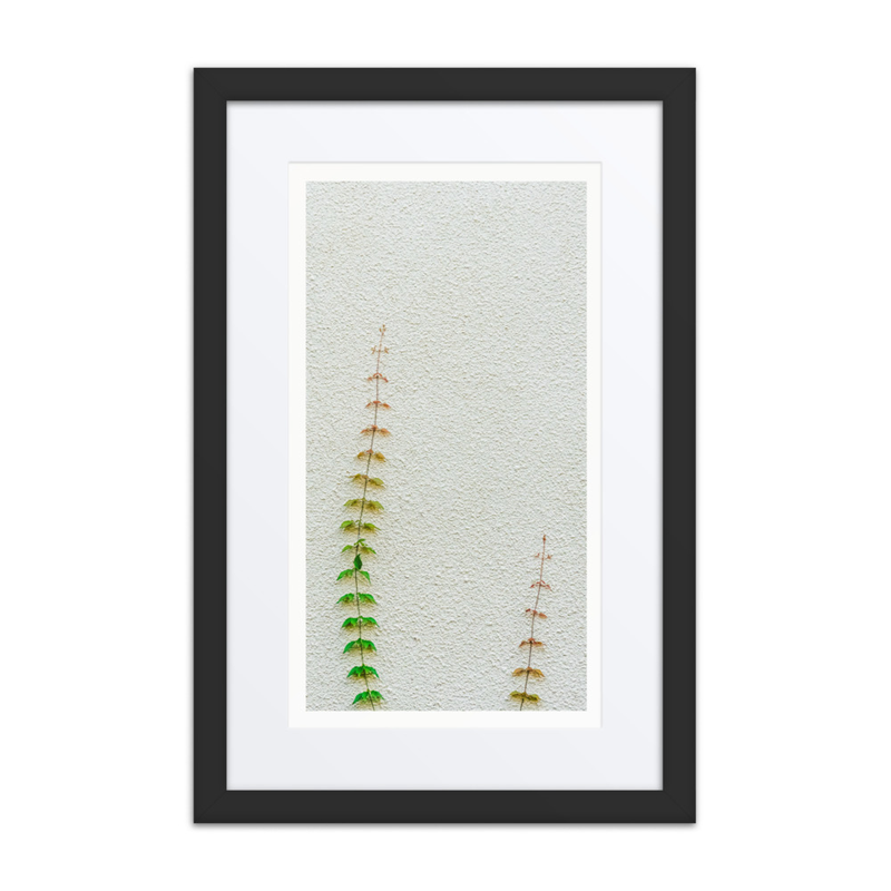 Poetry in Slow Motion 01