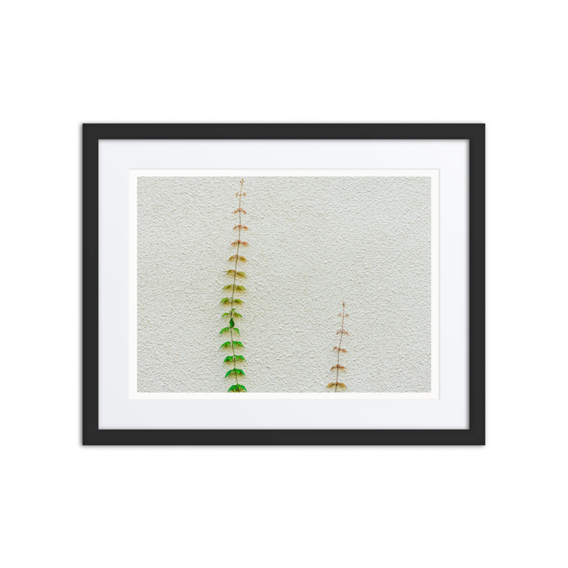 Poetry in Slow Motion 02