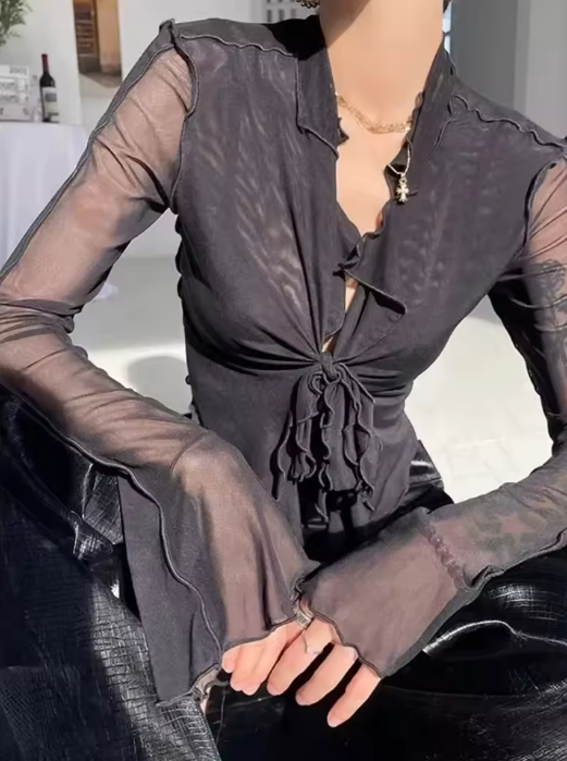 Sheer Long Sleeve Top