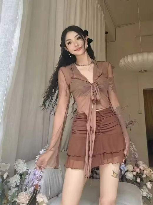 Sheer Long Sleeve Top