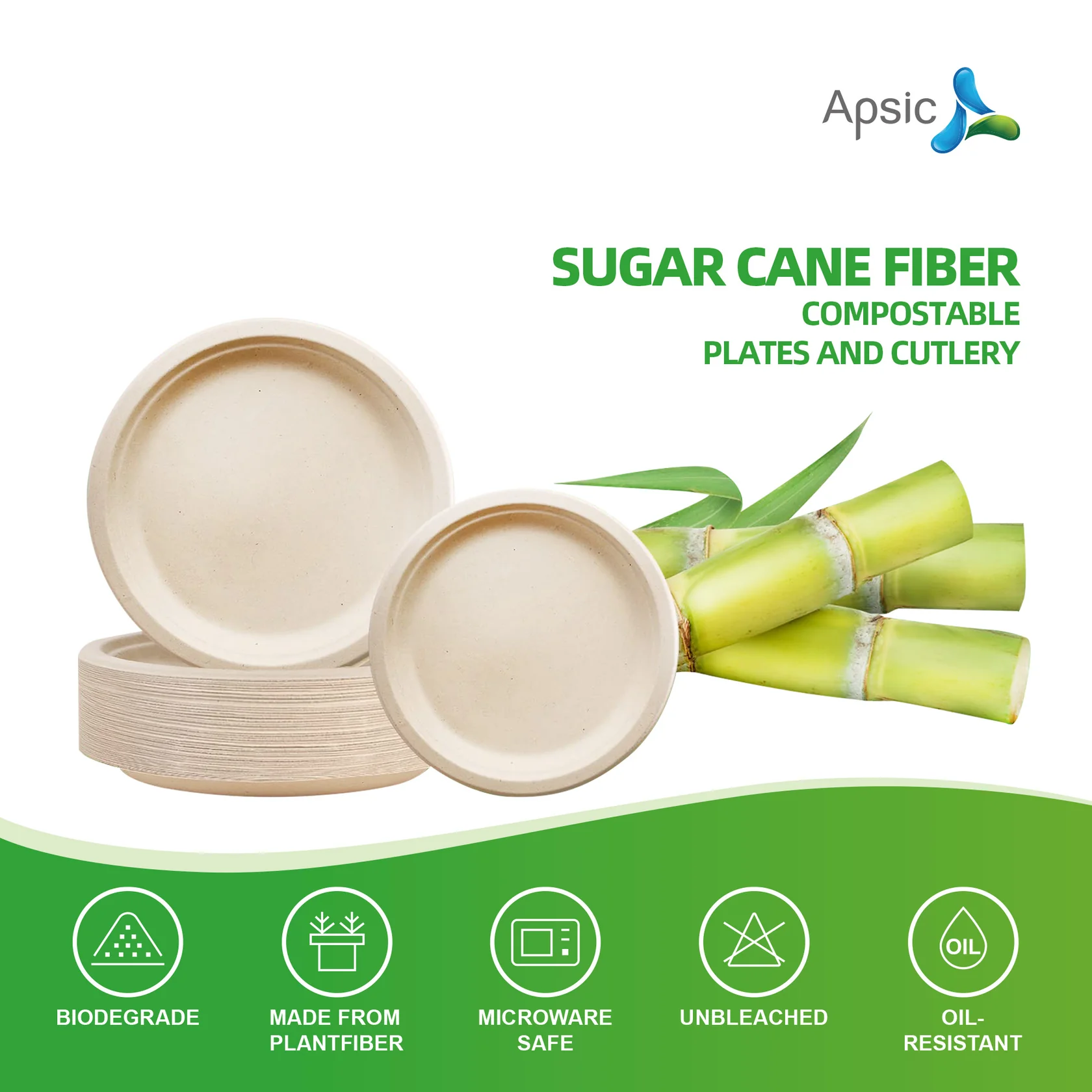 COMPOSTABLE DINNER PLATE 9" ROUND PLATE BAGASSE PFAS FREE 500/Case