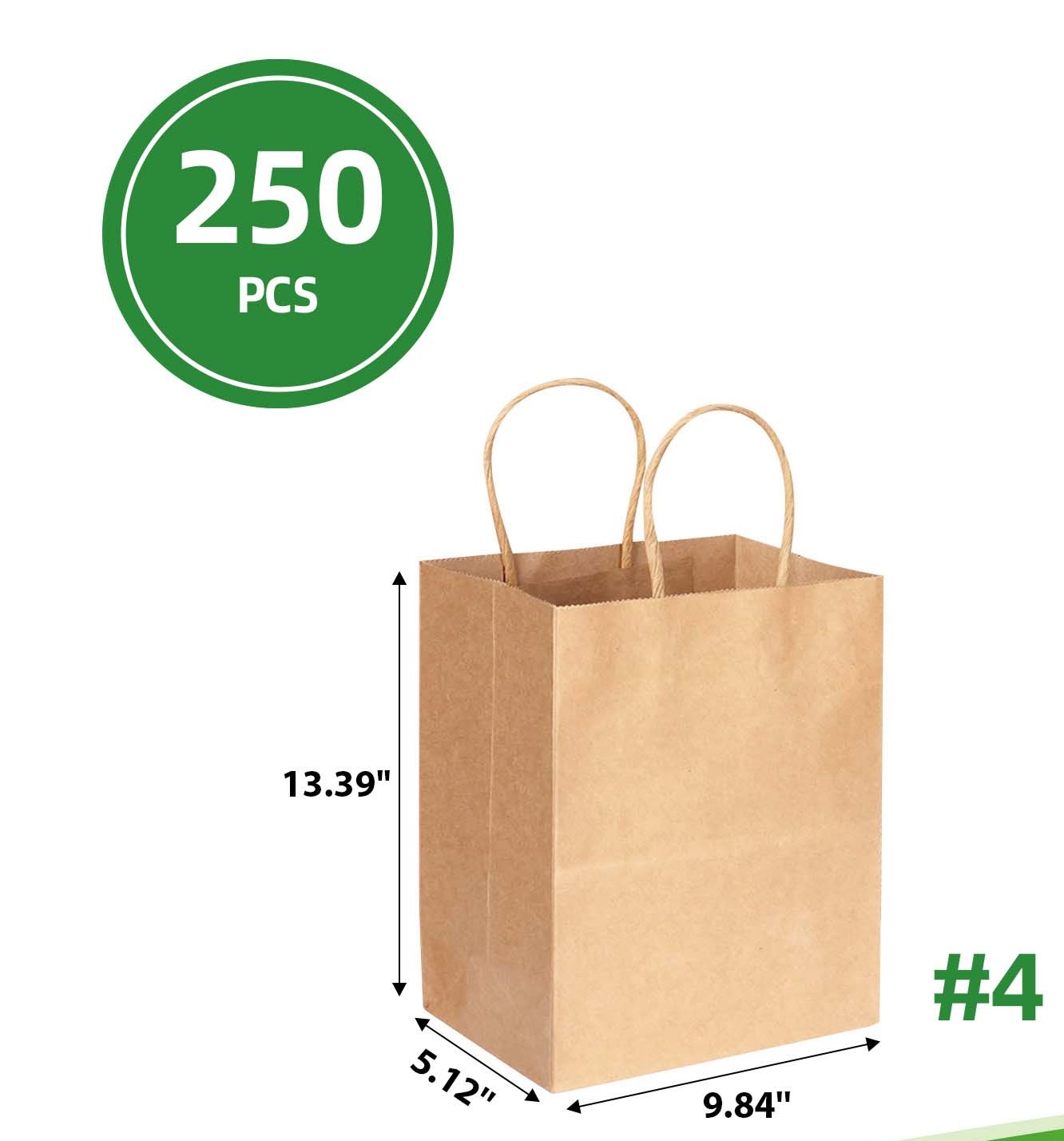#4 KRAFT PAPER BAG WITH TWIST HANDLE