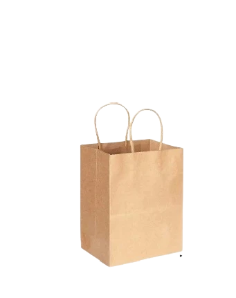 #4 KRAFT PAPER BAG WITH TWIST HANDLE