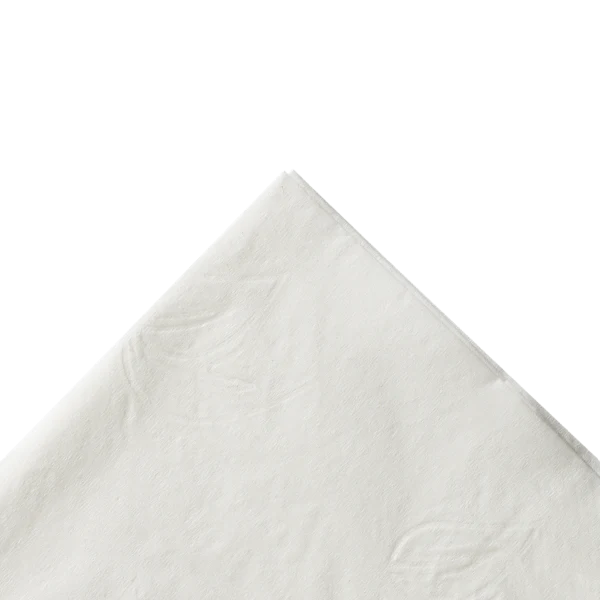 15" x17" 2 Ply Dinner Napkins, White 3000/Case
