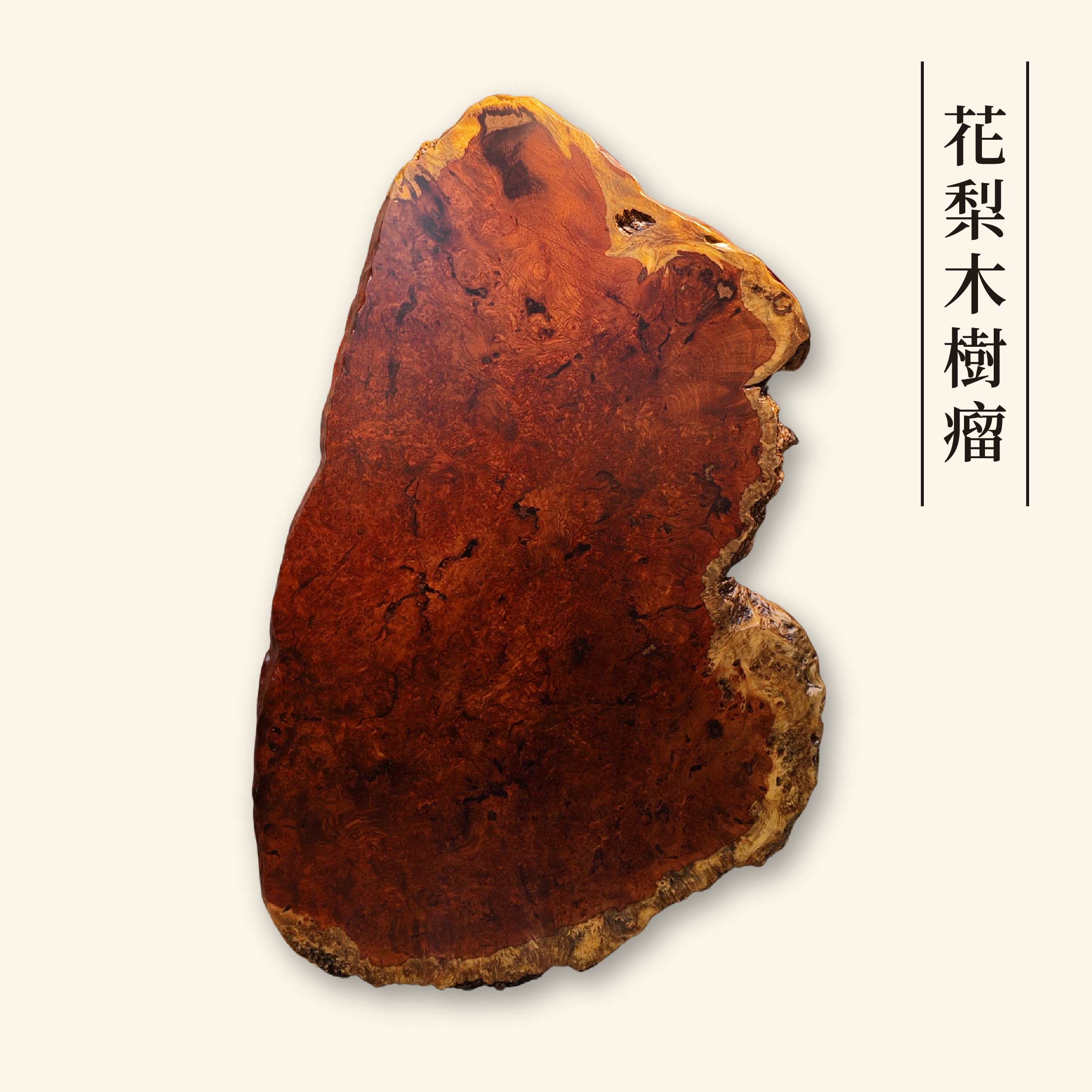 花梨木樹瘤 