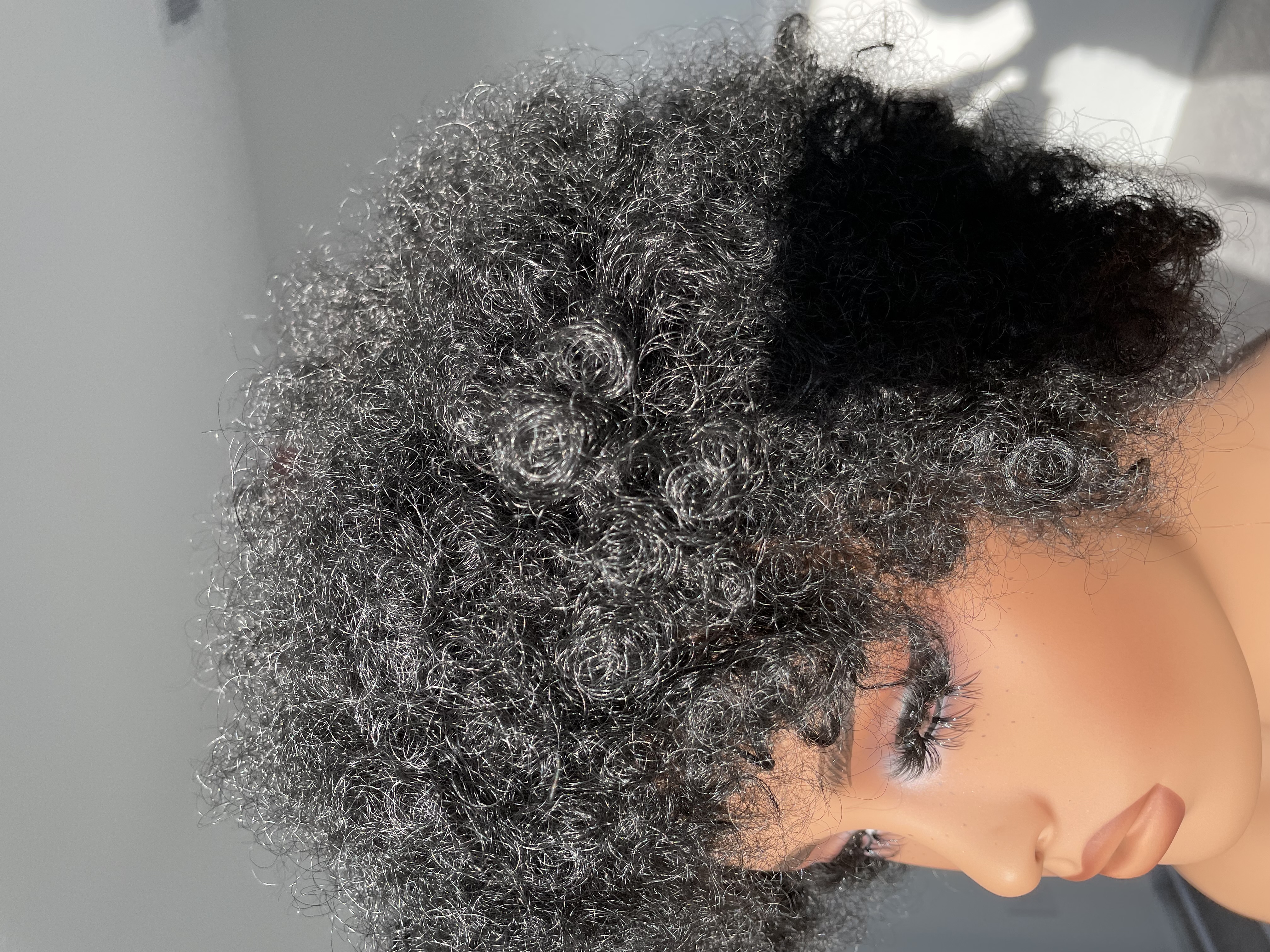 Curly Afro Synthetic Wig