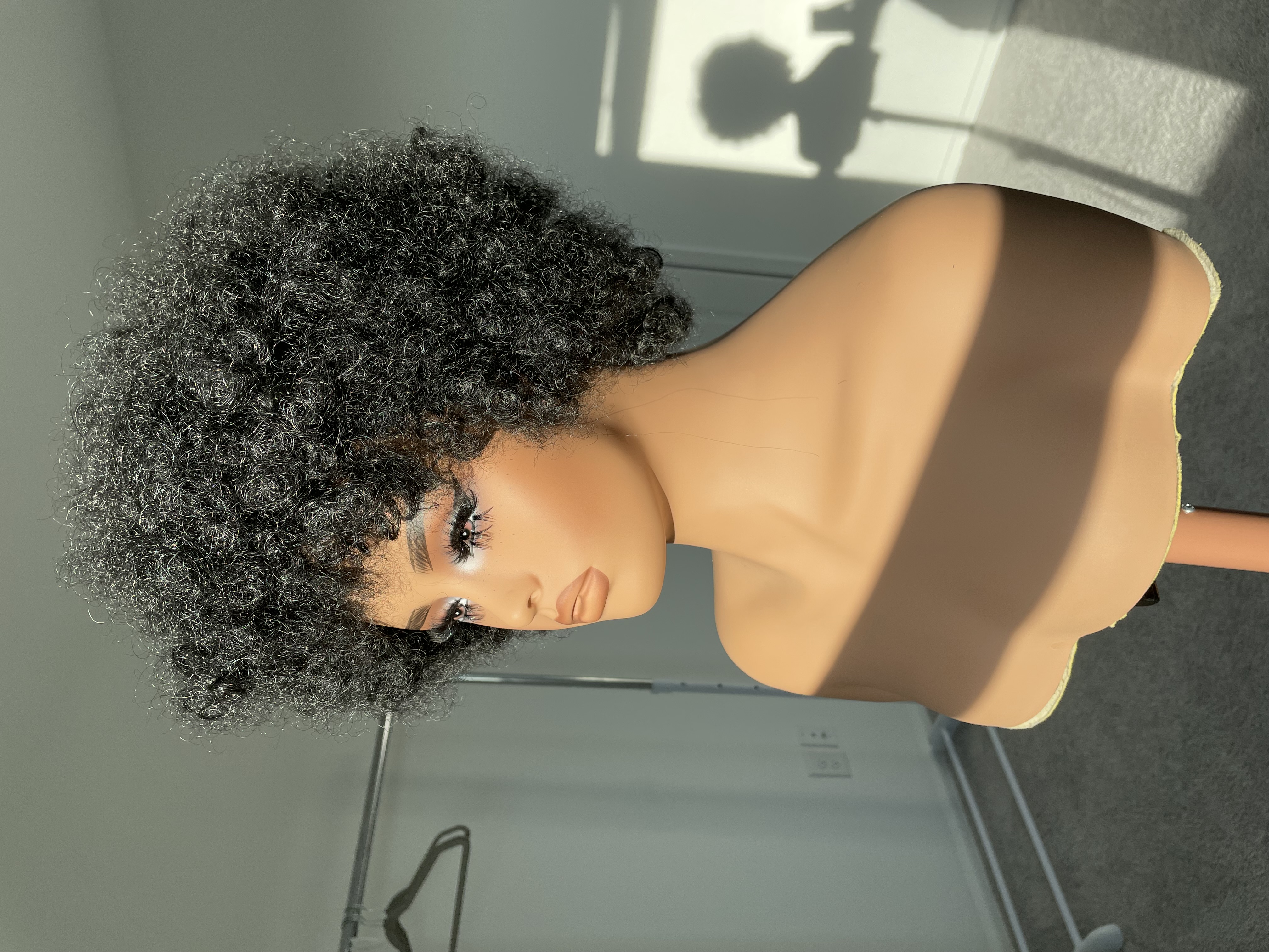 Curly Afro Synthetic Wig
