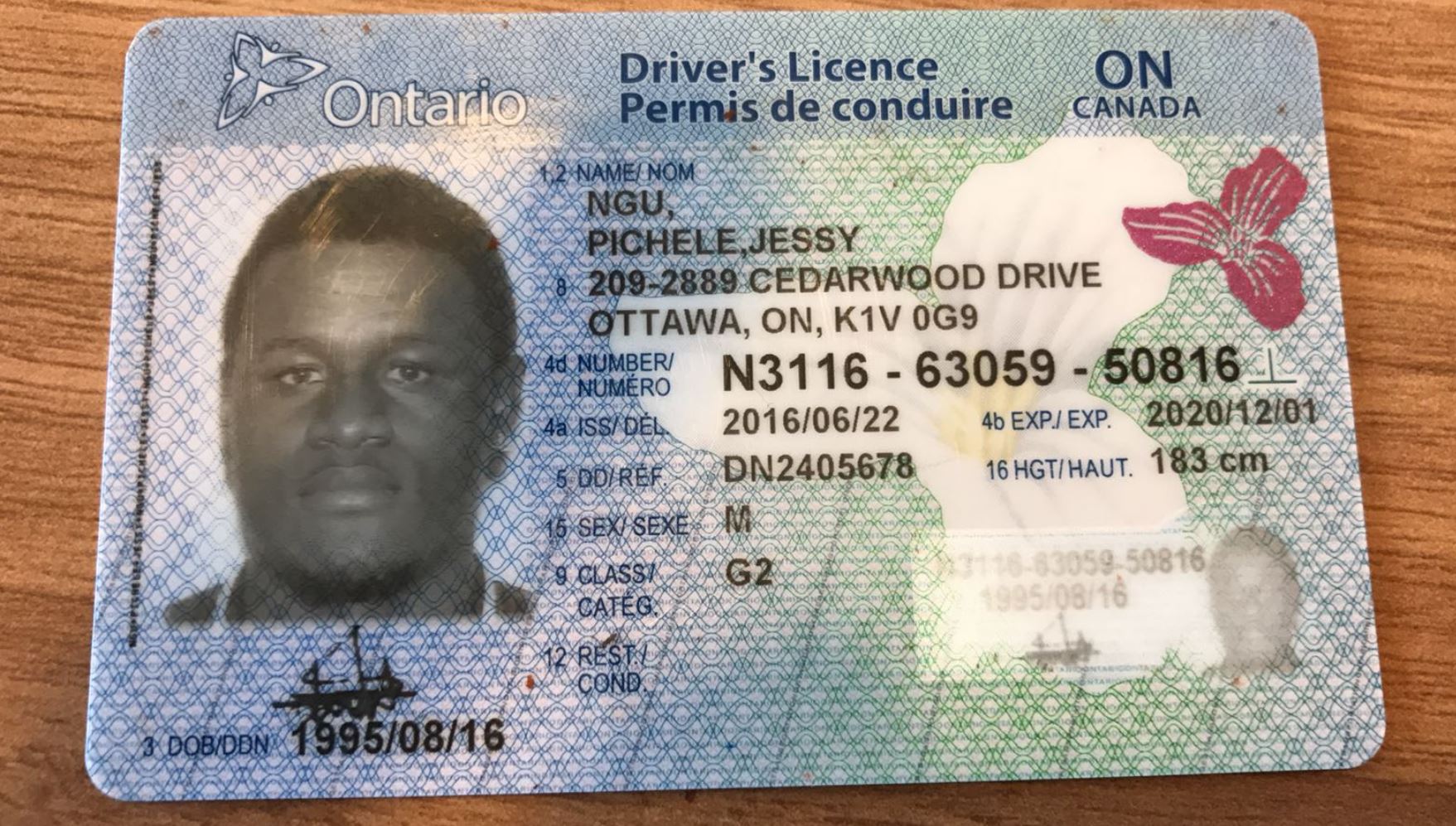 Quebec Driver's License