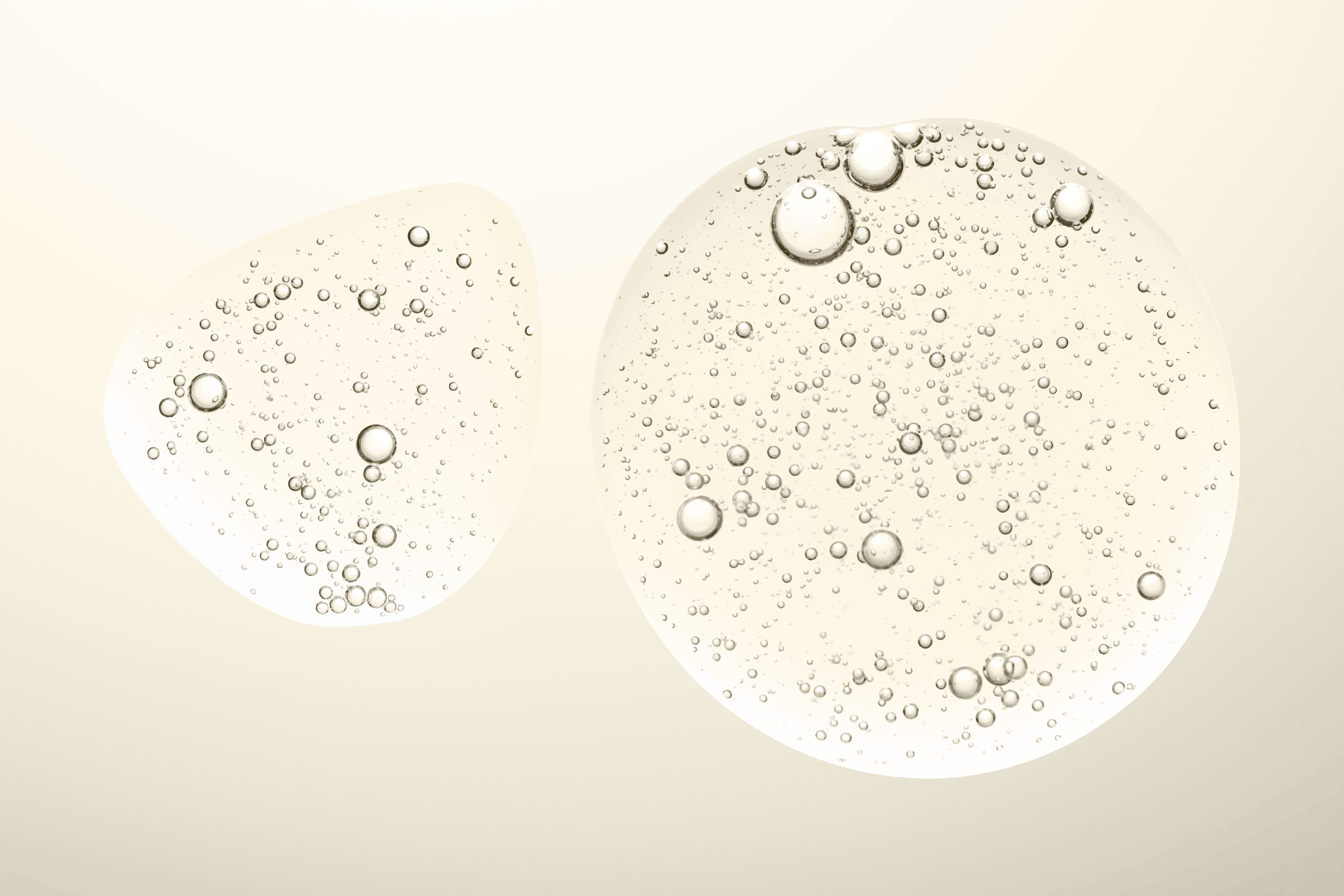 Ceramides