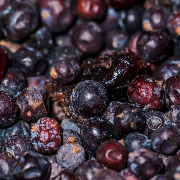 Resveratrol