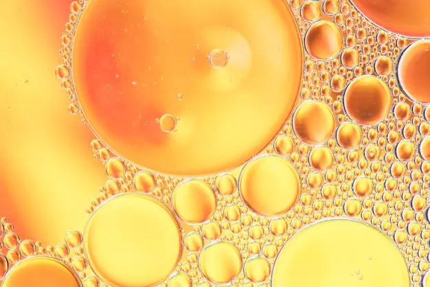 Coenzyme Q10