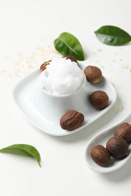 Shea Oil (Dầu Hạt Mỡ)