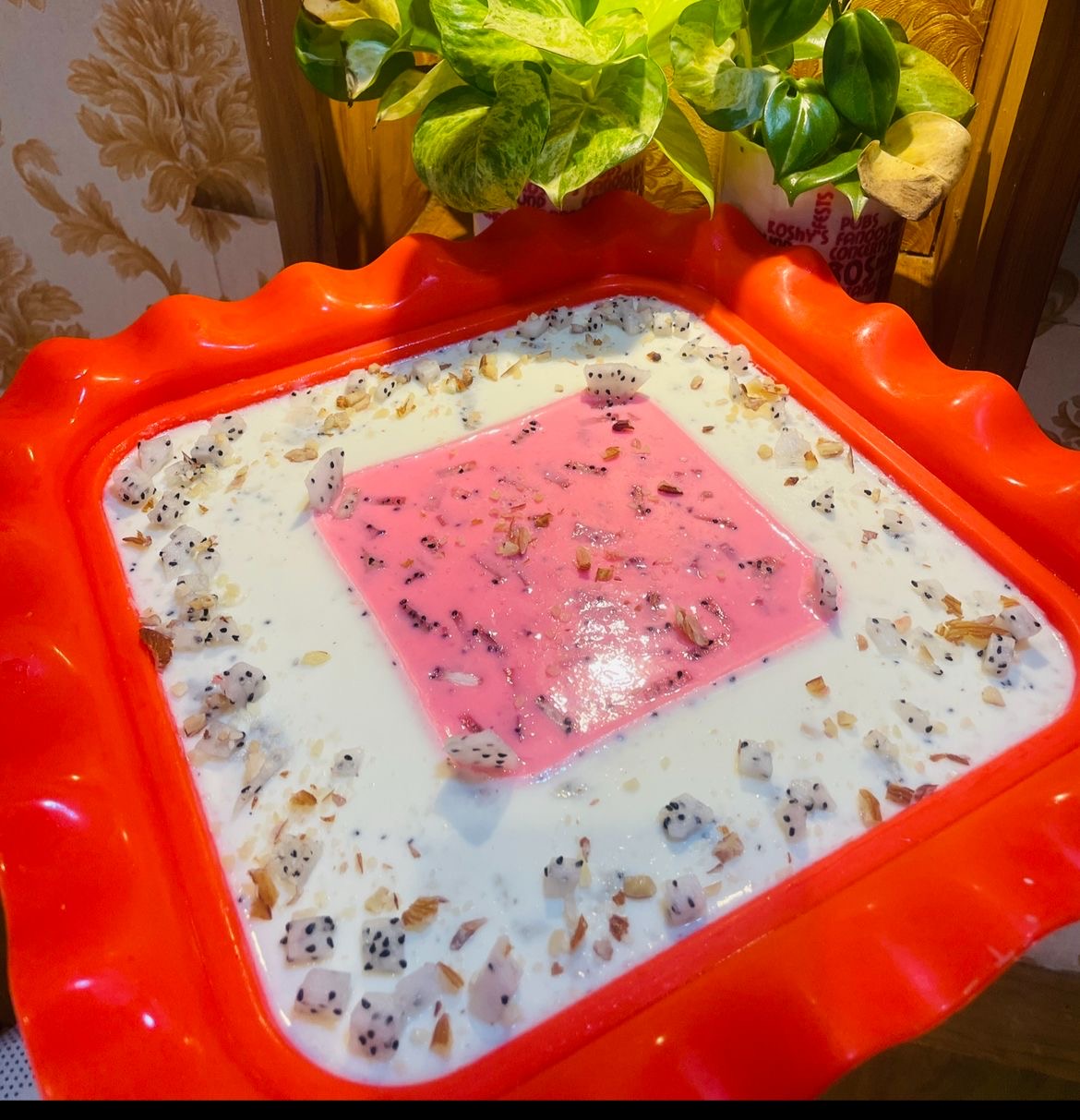 Dragon Fruit Pudding