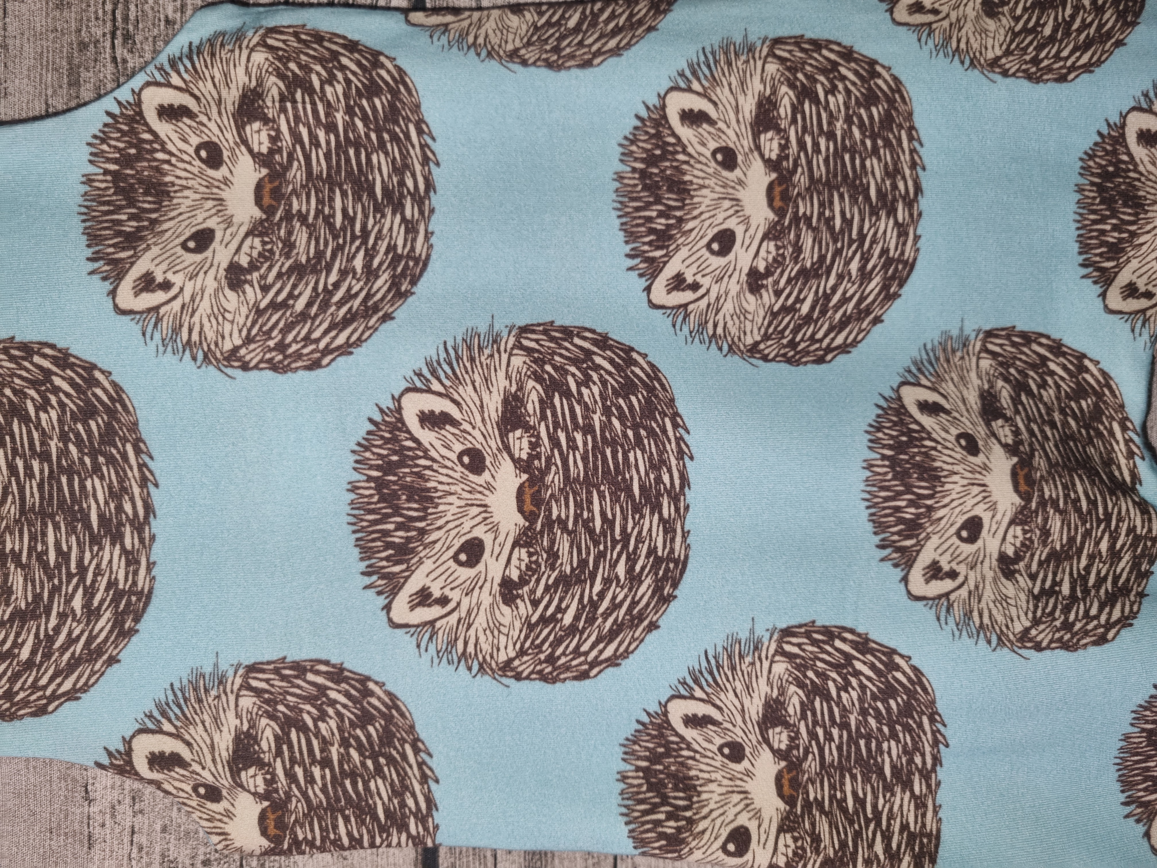 Hedgehog Print Baby Romper size 6-12 Months